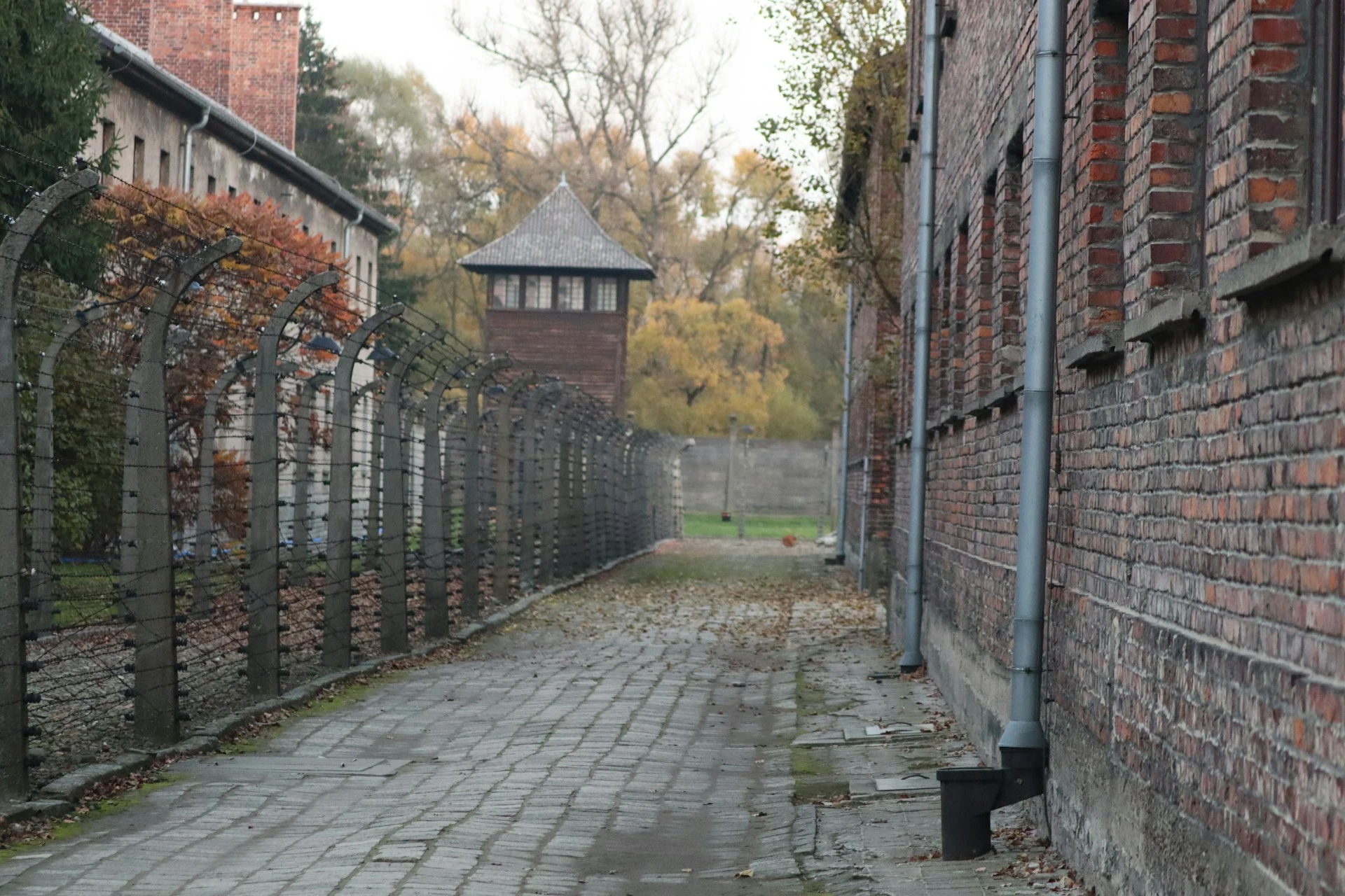 Auschwitz Shoah: Memoria, Verità e Testimonianze